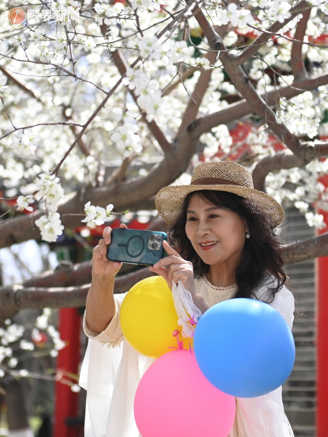 被乌鲁木齐的春天治愈了，花开满城→