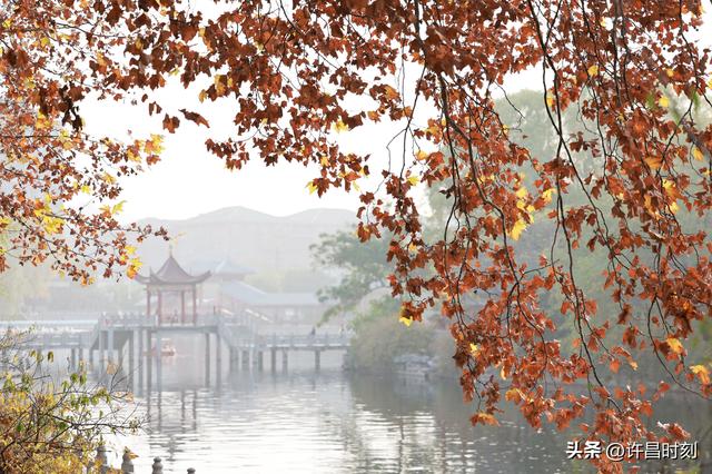 西湖公园：冬日暖阳里的惬意时光