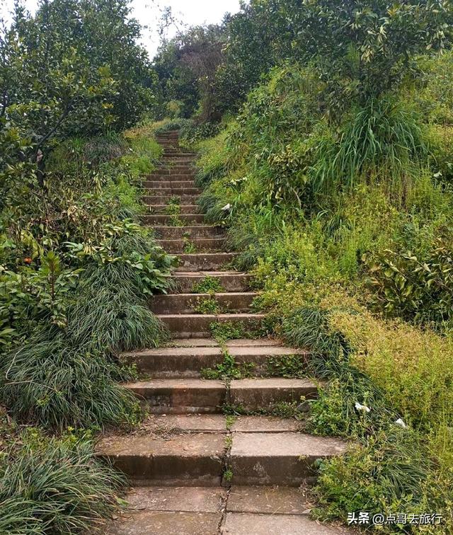 成都蒲江爆红徒步路线，观景台可观四姑娘山和贡嘎雪山，全部免费