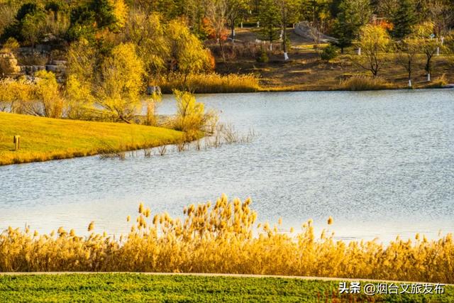 【乐游烟台】美到封神！烟台家门口的赏秋神仙地+1