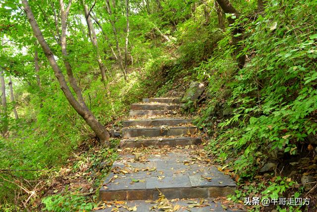 河北百草畔（上）：风动孤石悬险韵，蚁巡深岭蕴生机