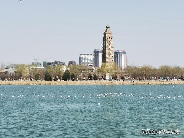 我是河南人，去了趟银川发现：银川人跟其他地方的人还真不一样