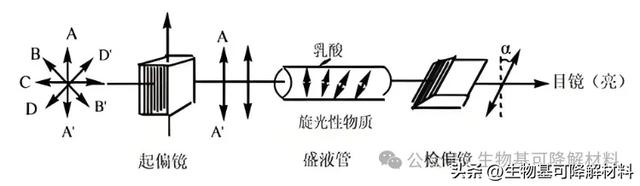 左旋/右旋、正/负、D型/L型、R型/S型,别傻傻分不清楚!