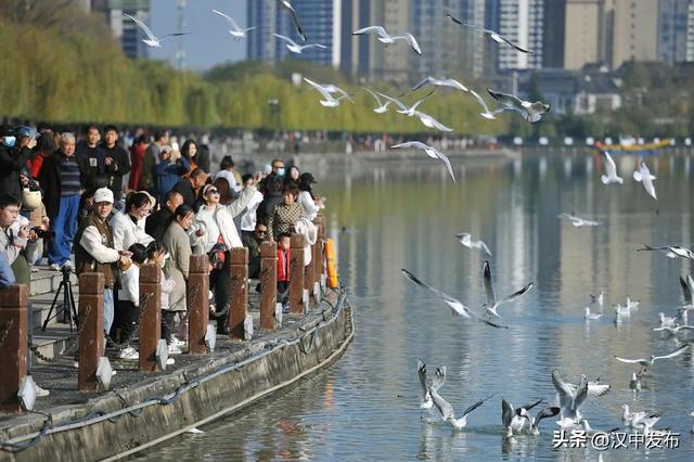 两座城市，一种初心！看汉中十堰如何刚柔治水→