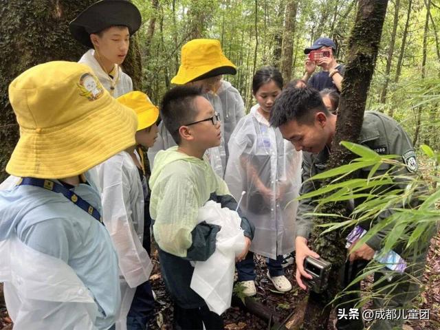 国庆去哪儿？草原金秋、潮汕舌尖味、熊猫守护……4条错峰优选线路，安排！