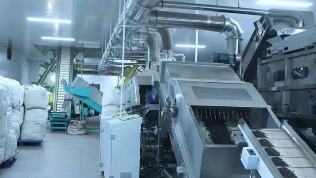 来一次古茶山之旅,去读懂贺开十五年的光阴故事