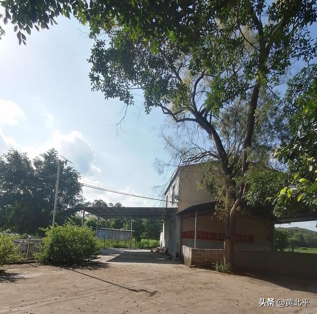 广西南宁市武鸣区被取消的黎圩，时至今日连一条街都不剩