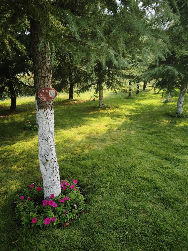 徒步穿越西流湖，赏秋正当时