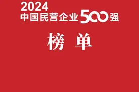福建14家企业上榜！2024中国民营企业500强出炉图片