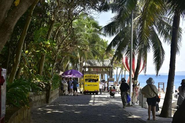 分界洲岛错峰游 | 摸鱼、玩海玩到飞起～