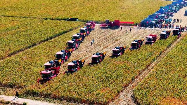 “遇到下雨不能慌”，中国玉米的“高产密码”藏不住了！