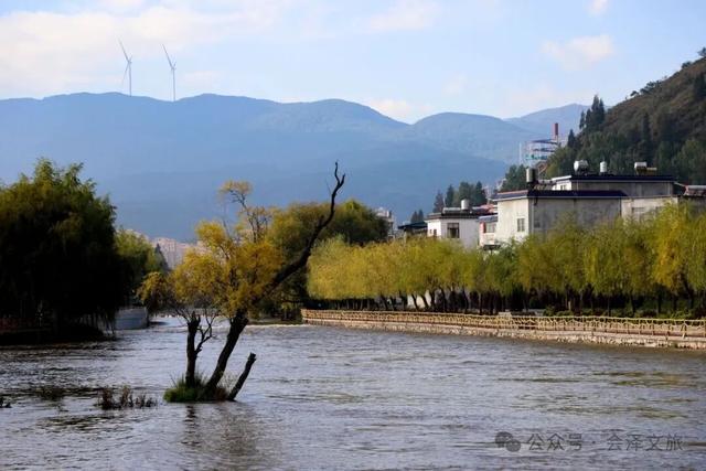 以礼初冬，树染波心山街色 蒋加祥/图