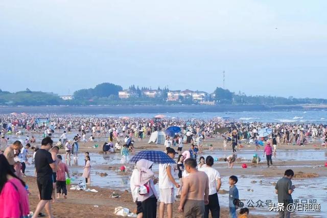日照海滩被“攻陷”？本地人笑了：这才叫夏天的海味！