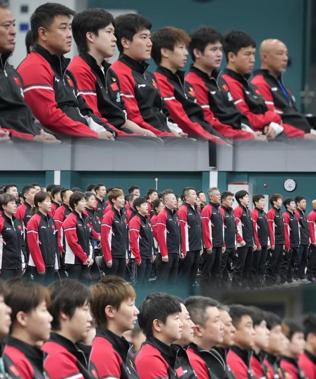 国乒新动态：9月3日传来王楚钦、孙颖莎、王曼昱、马龙等新消息