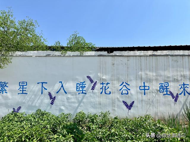 走进新疆伊犁的世外桃源，紧邻果子沟大桥，被薰衣草包围的晃晃村