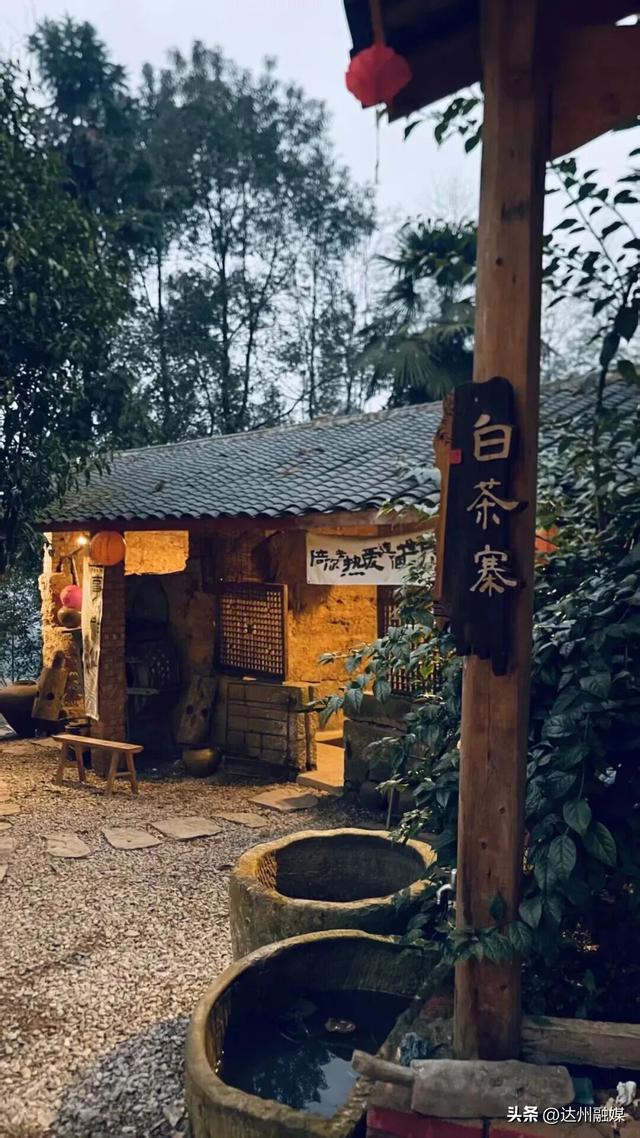 好一片“绿茶”！被达州大竹这片万亩茶海治愈了