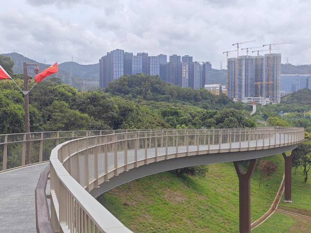 西丽湖国际科教城绿道高清随拍