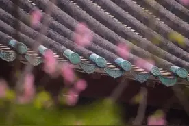 念佛为何要记数，记数不是分心了吗？图片