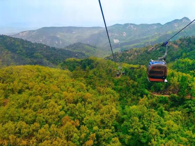 逃离“浪浪山”，解锁沂山新玩法！
