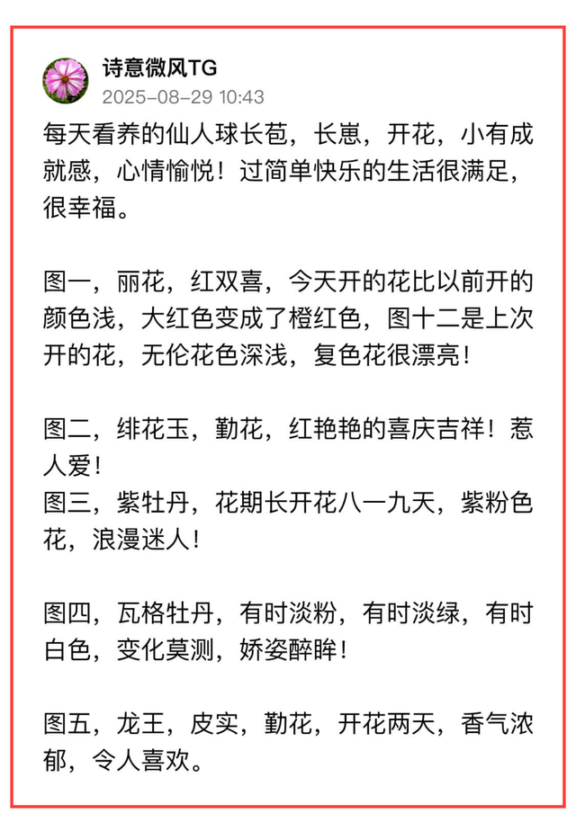 敢不敢来参加头条园艺pk赛