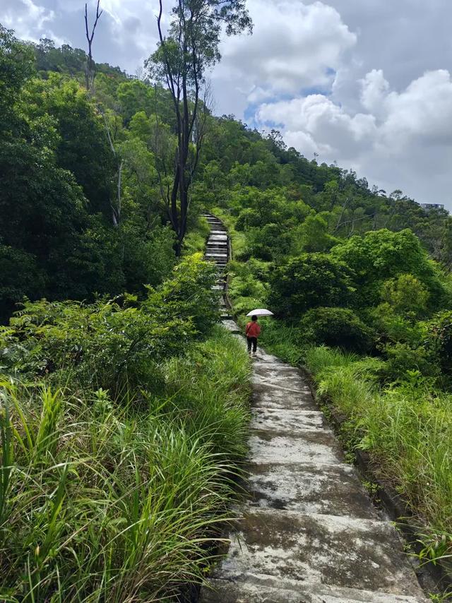 曾腾芳：在珠海登将军山