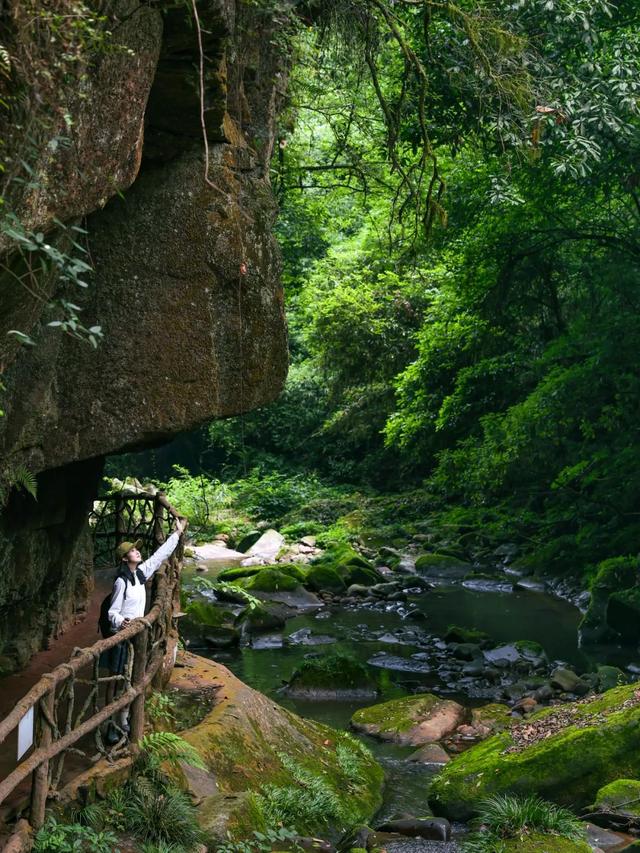 逃离高温！成都2H躲进峡谷避暑地，徒步森林瀑布、探秘野生动物！超萌奖牌周末就冲！