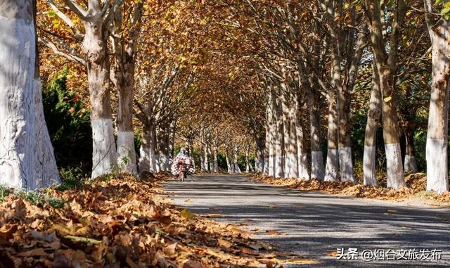 【乐游烟台】现在就冲！烟台这几处街景美到开挂