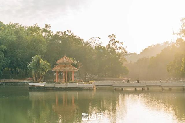 定了！“新”公园来了！景色堪比西湖！