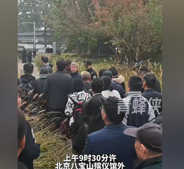 杨振宁追悼会曝光！墓外排百米长队，翁帆眼哭肿了，三子神情哀痛
