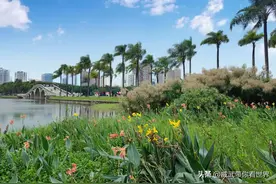 南宁南湖公园游玩攻略图片