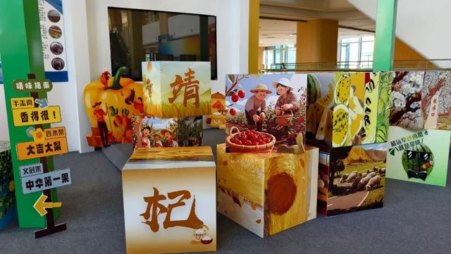 杞红如故，筑梦不息！靖远邀您共赴一场产业与人文之约