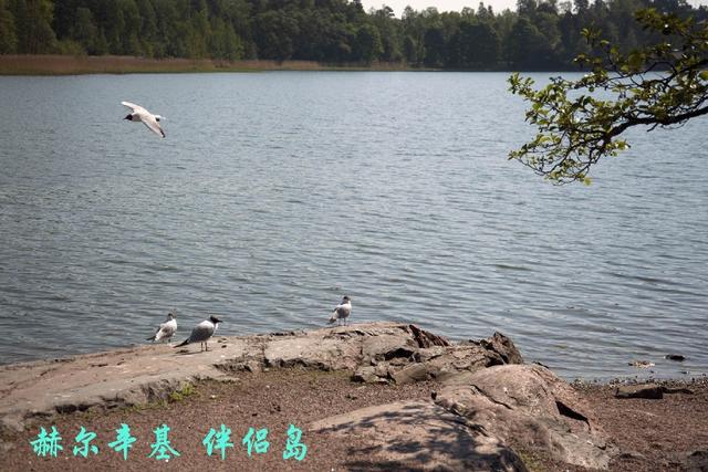赫尔辛基 芬兰共和国首都