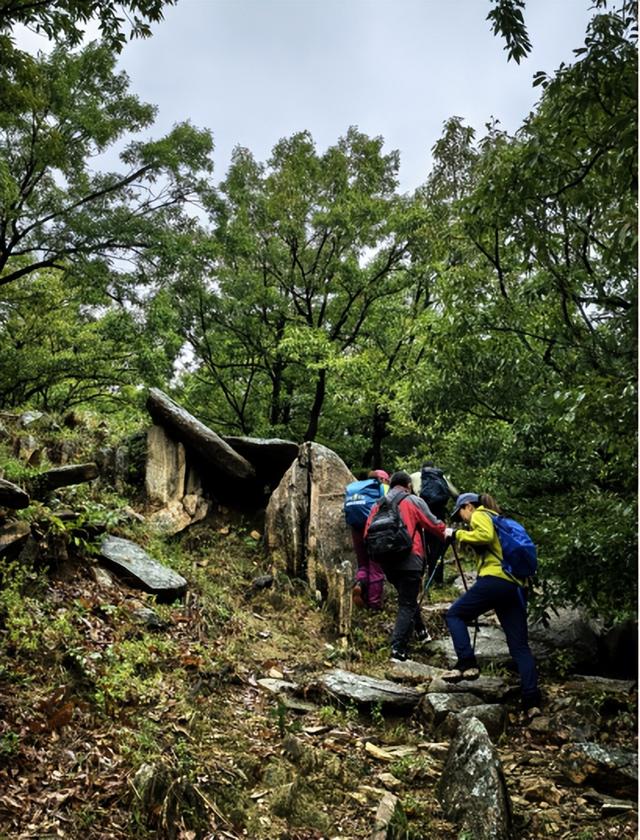 驴行信记：再攀“磨山顶”