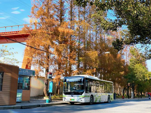 踏迹寻旅：一座被时光遗忘的秘境上海复兴岛