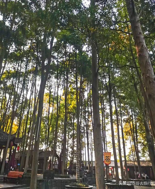 成都4大赏秋超美村庄，其中一个被称为成都小丹巴，都不要门票！