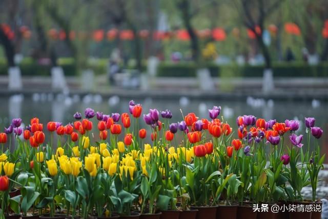 女人让你占这三种便宜，十有八九是喜欢上你了！​