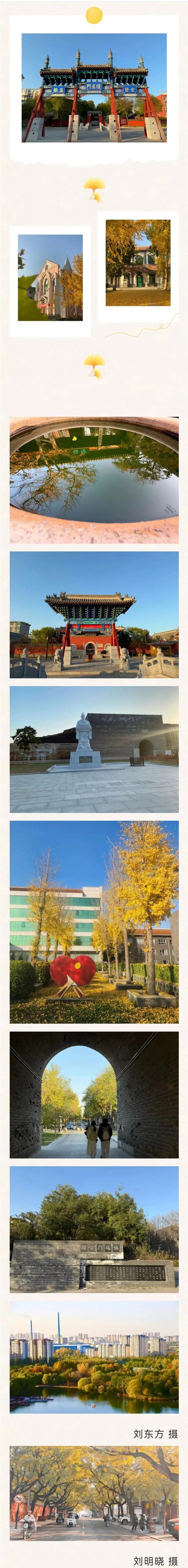 美！这才是正定的初冬“顶流”！