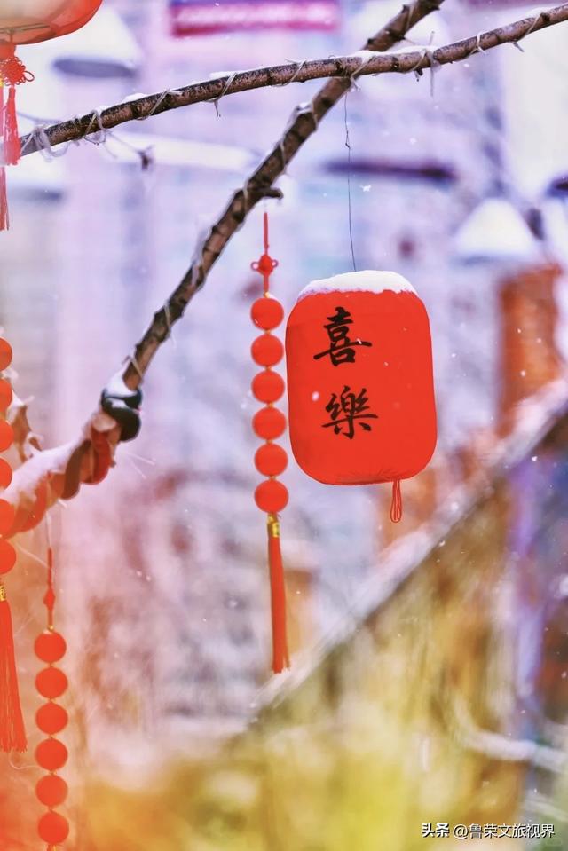 雪落大连，一场山海的冬日盛宴