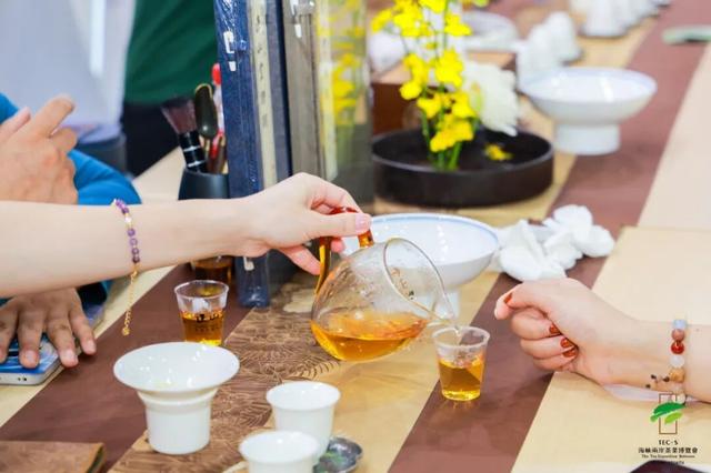 逛不停的茶博会|我们都超期待的茶博会逛展攻略，它来了！
