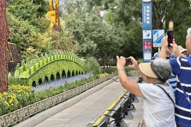 卢沟桥小狮子“跃入”花丛述历史！长安街主题花坛背后还有着这样的故事——
