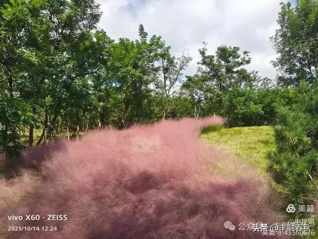 浮山漫记：藏在青岛城央的自然诗篇｜申艳娟