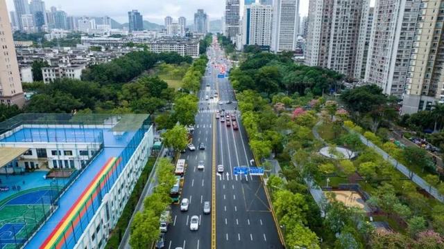 “宜居深圳”道路篇：山海与都市的交响