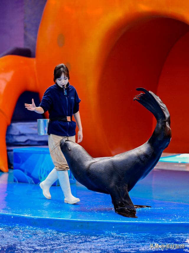 反向旅游，你不知道深圳的海有多绝