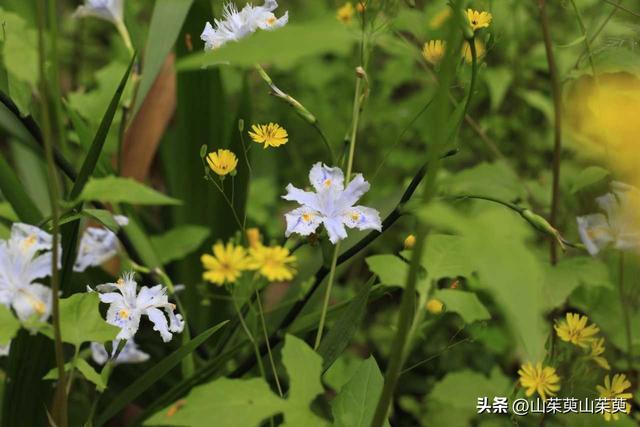 2023年春重庆探亲记（三）