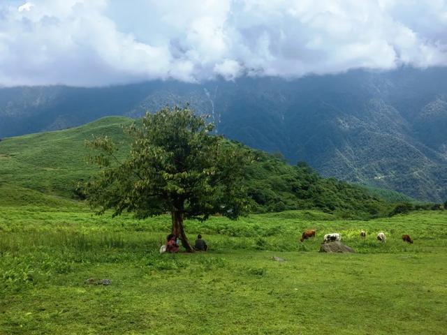 漫步黑竹沟,尽享初秋美景~