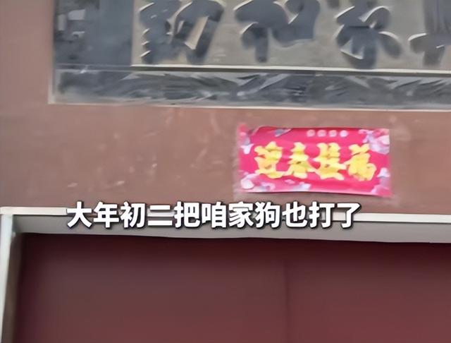 狗主人被反杀案开庭，9人闯门打砸	，妻子后悔冲动，更多细节披露