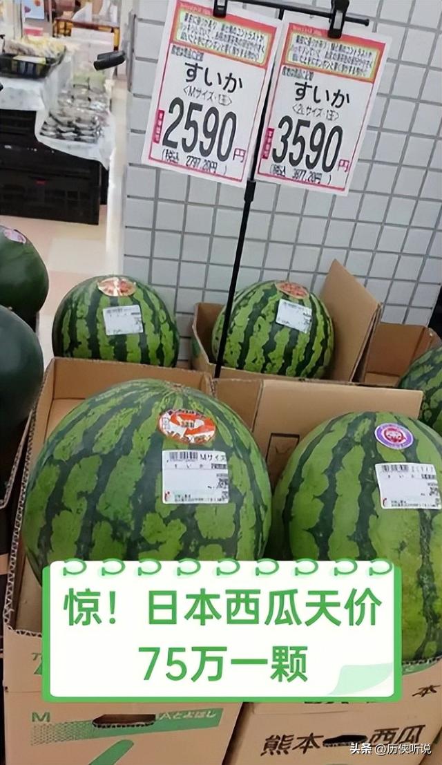 日本大妈到中国旅游，看到中国的水果嫉妒坏了：中国人太有钱了！