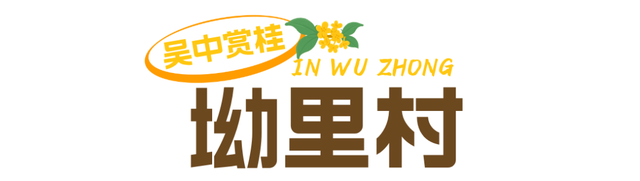 香！吴中今年“第一桂”开了