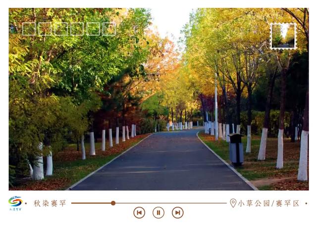 北疆文化 遇鉴赛罕 | 秋染赛罕明信片上线！快来“云”赏秋