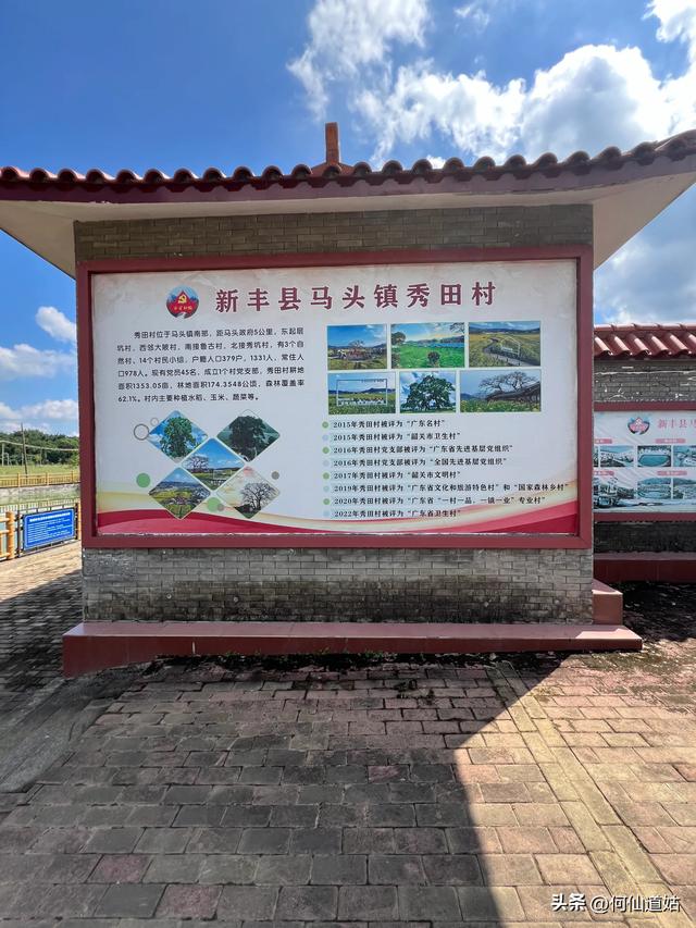 新丰秀田，是来看古树的